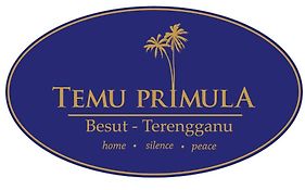 Temu Primula